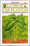 LA VIDA DE LAS PLANTAS