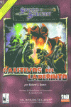 CAUTIVOS DEL LABERINTO - SWORD SORCERY