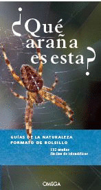 ¿QUE ARAÑA ES ESTA?