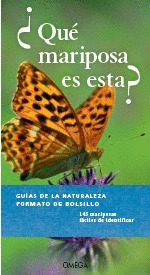 ¿QUE MARIPOSA ES ESTA?
