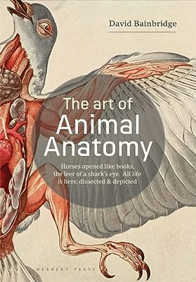 ART OF ANIMAL ANATOMY, THE