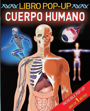 LIBRO Y POSTER POP-UP. CUERPO HUMANO