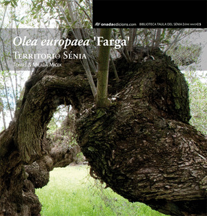 OLEA EUROPAEA ?FARGA?