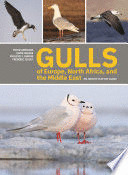 GULLS OF EUROPE, NORTH AFRICA, AND THE MIDDLE EAST