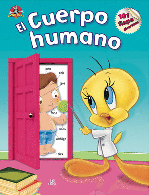 CUERPO HUMANO
