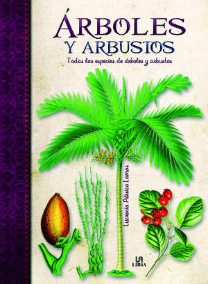 ARBOLES SINGULARES