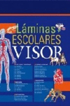 LAMINAS ESCOLARES VISOR