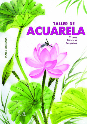 ACUARELA, TALLER DE