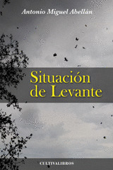 SITUACIÓN LEVANTE.