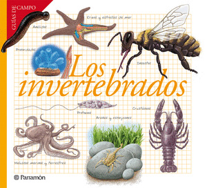 INVERTEBRADOS, LOS