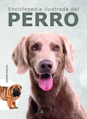 JUEGOS DE OLFATO Y RASTREO. DIVERSION PARA TU PERRO FALKE