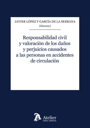 RESPONSABILIDAD CIVIL Y VALORACION LOS DAÑOS Y PERJUICIOS