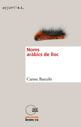 NOMS ARABIC DE LLOC, ELS