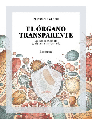 EL ORGANO TRANSPARENTE. LA INTELIGENCIA DE TU SISTEMA INMUNITARIO
