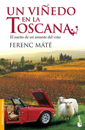 VIÑEDO EN LA TOSCANA, UN