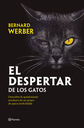 DESPERTAR DE LOS GATOS, EL
