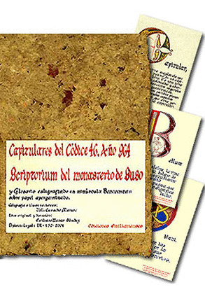 CAPITULARES DEL CÓDICE 46