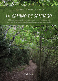 MI CAMINO DE SANTIAGO