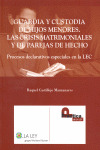 GUARDIA Y CUSTODIA DE HIJOS MENORES. LAS CRISIS MATRIMONIALES Y DE PAREJAS DE HECHO