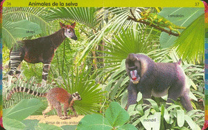 BUBI PEGA Y COLOREA (2 TIT.)