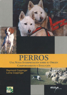 PERROS: UNA NUEVA INTERPRETACION