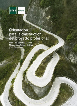 ORIENTACION PARA LA CONSTRUCCION DEL PROYECTO PROFESIONAL