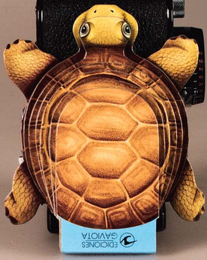 TORTUGA (COL.MIS ANIMALITOS)