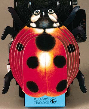 MARIQUITA (COL.MIS ANIMALITOS)