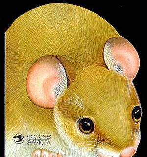 UN RATON DE CAMPO