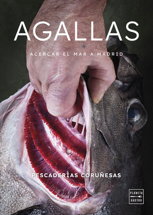 AGALLAS. ACERCAR EL MAR A MADRID