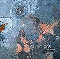 HIJO GRIS, EL
