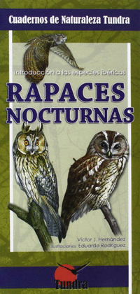 RAPACES NOCTURNAS
