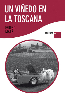 VIÑEDO EN LA TOSCANA, UN