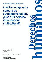 PUEBLOS INDIGENAS Y DERECHO DE AUTODETERMINACION.
