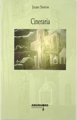 CINERARIA