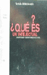 QUE ES UN INTELECTUAL