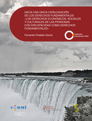 HACIA UNA ÚNICA CATALOGACIÓN DE LOS DERECHOS FUNDAMENTALES