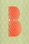 SALMONES EN BARCELONA