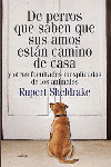 DE PERROS QUE SABEN QUE SUS AMOS