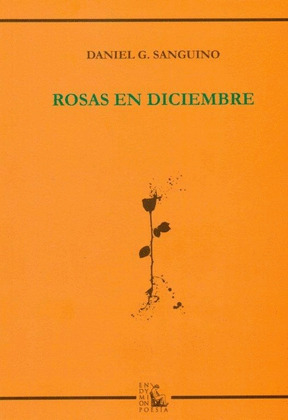 ROSAS EN DICIEMBRE