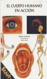 BRAVO. EL CUERPO HUMANO EN ACCION