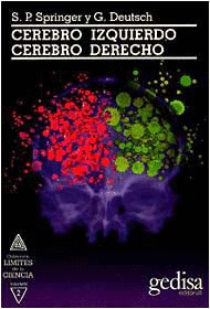 CEREBRO IZQUIERDO - CEREBRO DERECHO