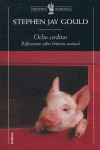 OCHO CERDITOS