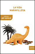 VIDA MARAVILLOSA, LA