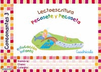 LECTO-ESCRIT.3.CONS.CUAD