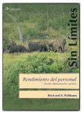 RENDIMIENTO DEL PERSONAL. DISEÑO, IMPLANTACION Y GESTION
