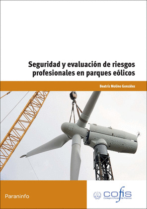 SEGURIDAD Y EVALUACION DE RIESGOS PROFESIONALES EN PARQUES EOLICOS