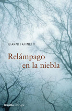 RELAMPAGO EN LA NIEBLA