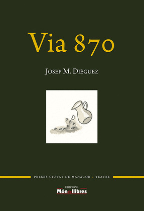 VIA 870
