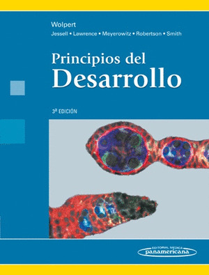 PRINCIPIOS DEL DESARROLLO 3ª EDICIÓN